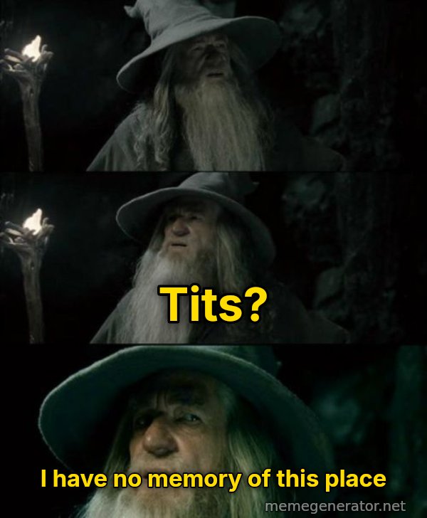 I Have No Memory of This Place meme: tits? / I have no memory of this place
